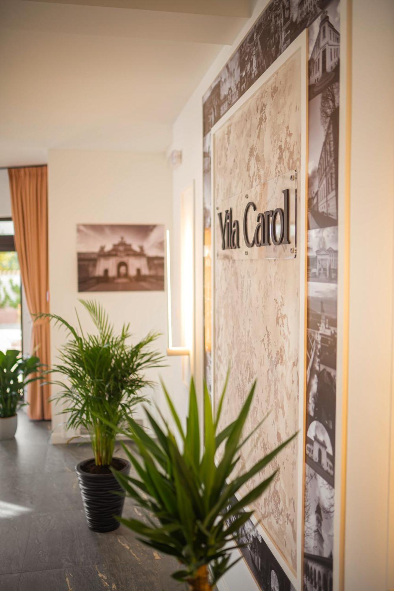 Vila Carol Alba Iulia Exterior photo